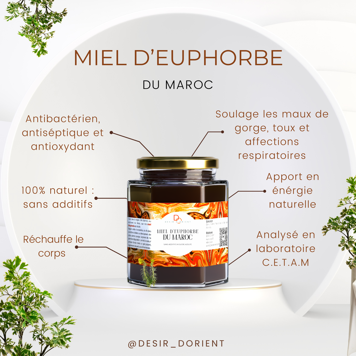 Miel d’euphorbe du Maroc
