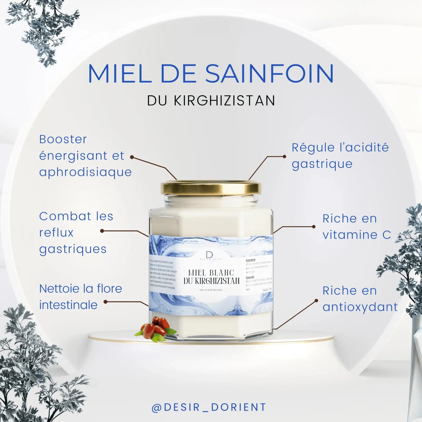 Miel blanc du Kirghizistan - Sainfoin monofloral DÉSIR D'ORIENT