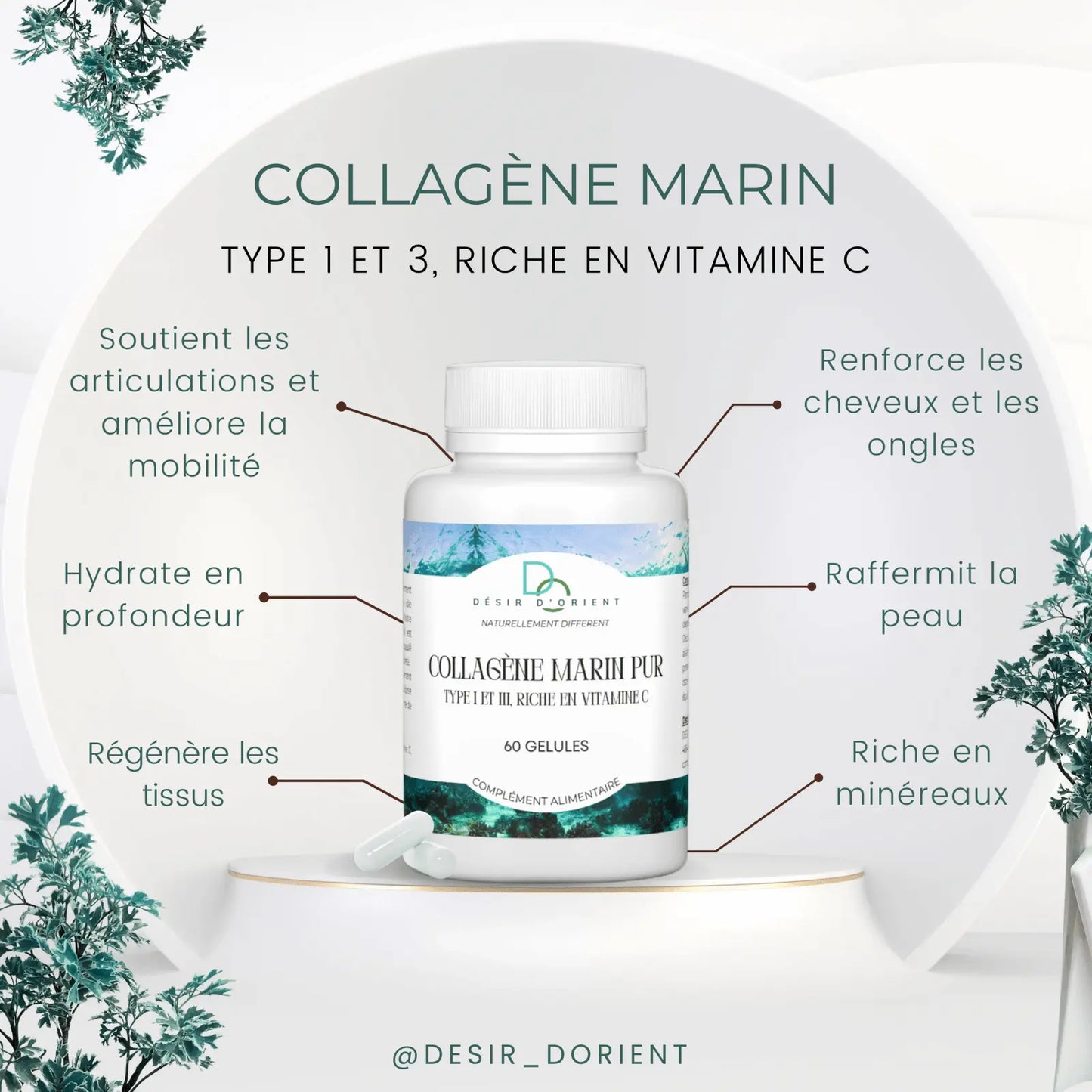 Collagène marin hydrolysé types I et III gélules - Désir d'Orient