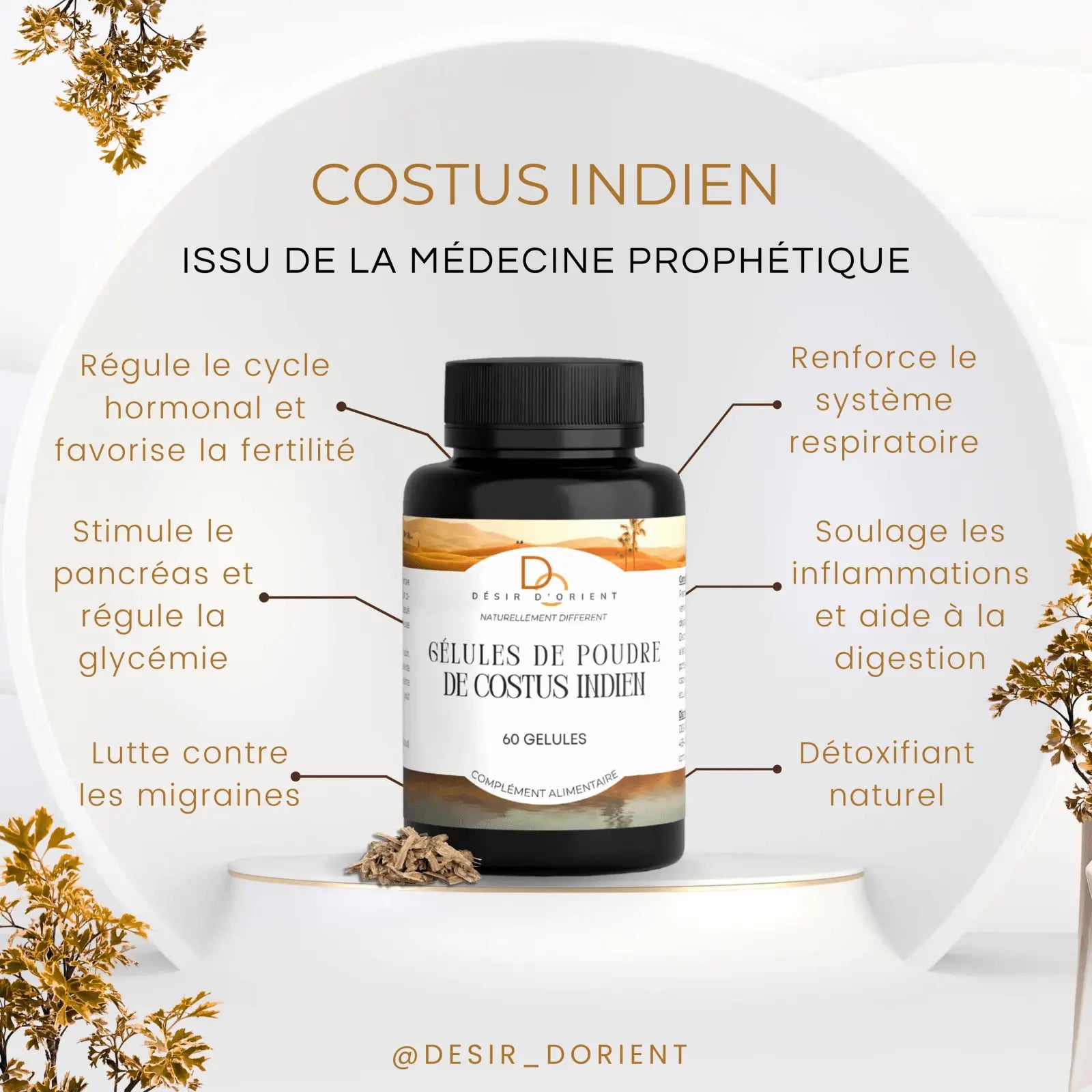 Gélules de costus indien Qist Al Hind bienfaits - issu de la médecine prophétique - Désir d'Orient
