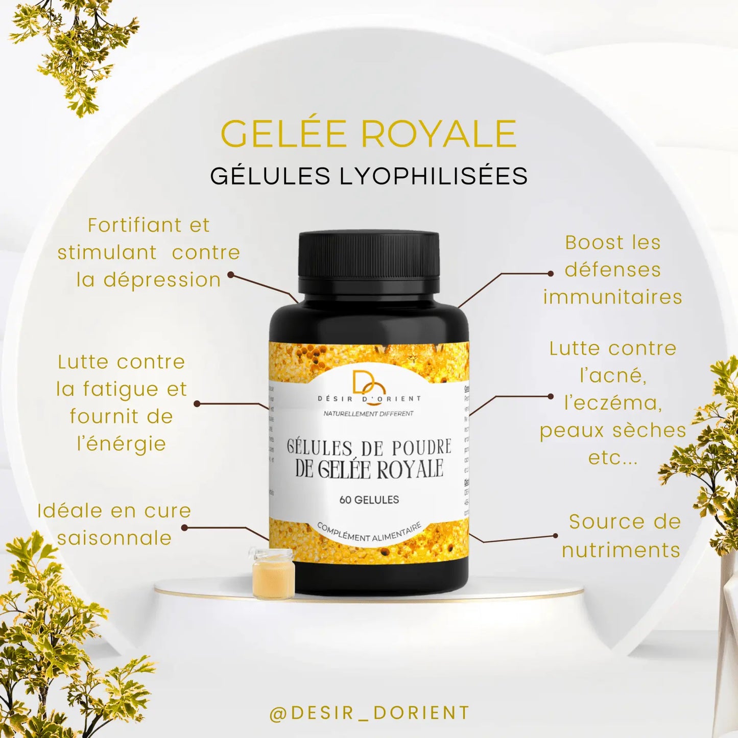 Gélules gelée royale lyophilisée 300mg gélule végétale - Désir d'Orient