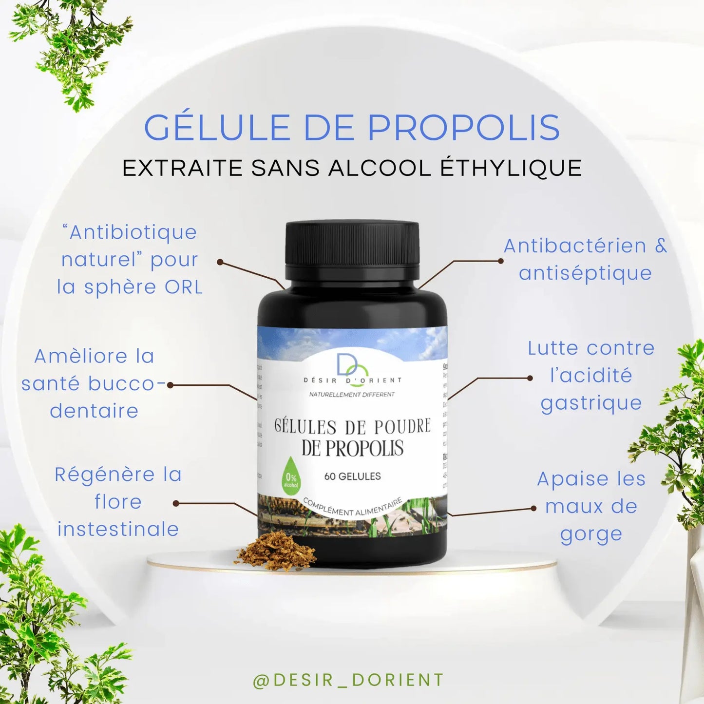 Gélules de propolis sans alcool 300mg - Désir d'Orient