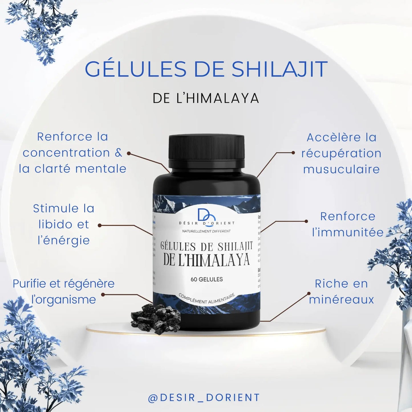 Gélules de shilajit de l’Himalaya DÉSIR D'ORIENT