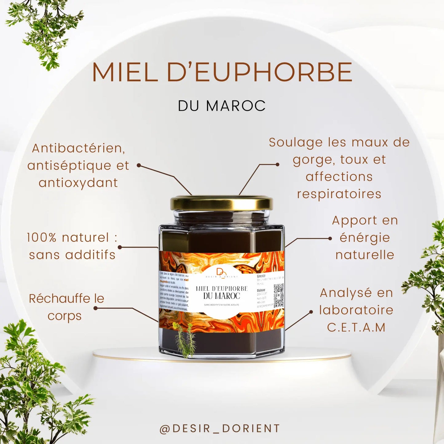 Miel d'euphorbe Daghmouss Maroc pot 125g 250g - Désir d'Orient