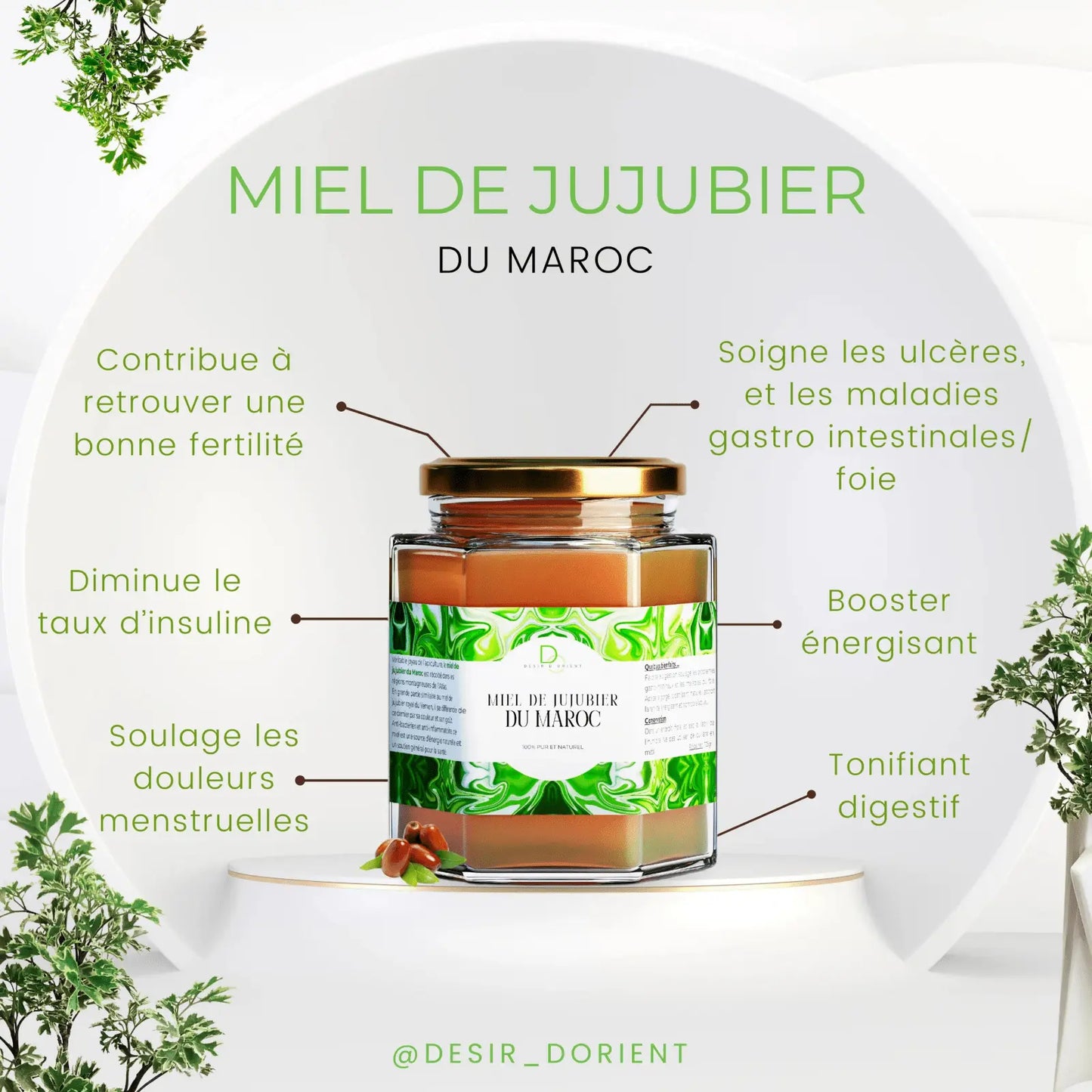 Miel de jujubier Sidr Maroc pot certifie CETAM - Desir d'Orient