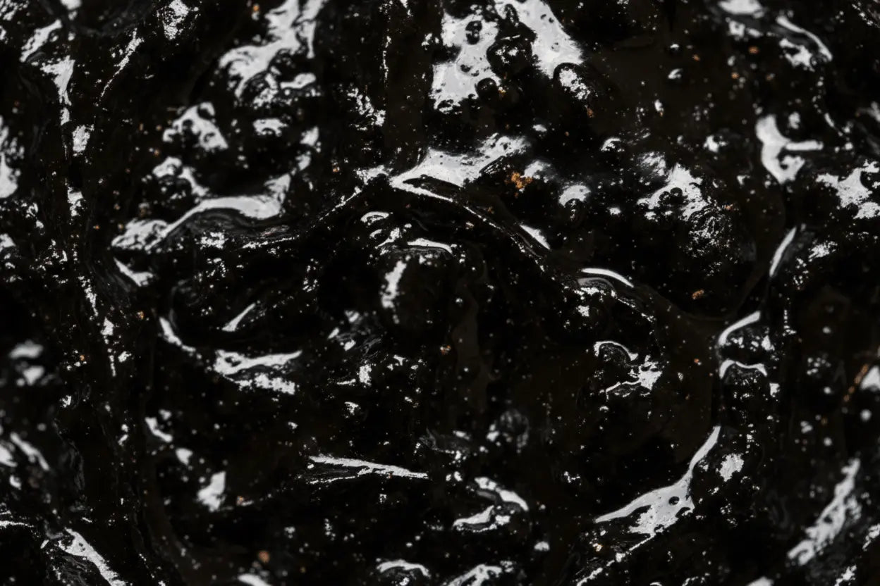 Texture résine de Shilajit noire pure Altaï - Désir d'Orient